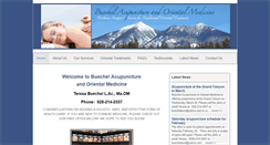 Desktop Screenshot of buechelacupuncture.com